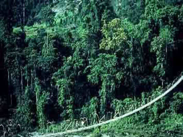Bio_Dihang-Dibang