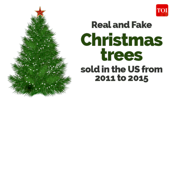 Infographic Christmas trees sales Pine vs plastic Times of India