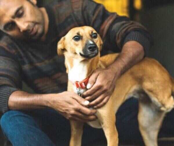 BM- loving injured animals--1