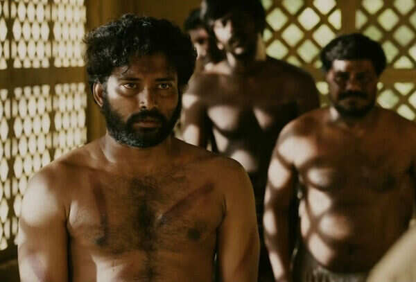 visaaranai