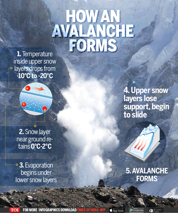 Infographic: When snow turns deadly - Times of India