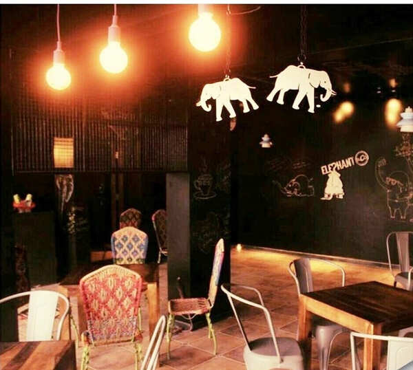 Elephant-&-Co