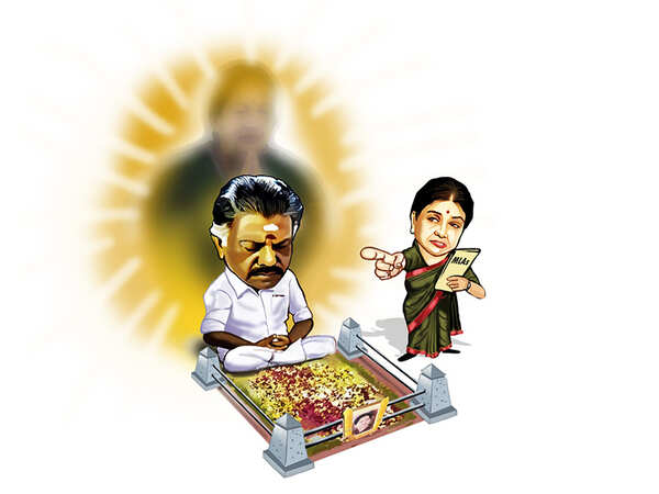 TN’s-P-drama