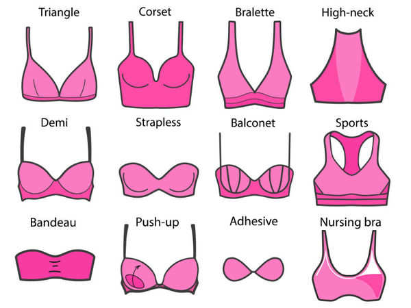 Brassiere - definition of brassiere by The Free Dictionary