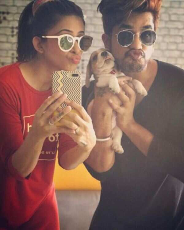 TV stars’ click-happy pets | Ahmedabad News - Times of India