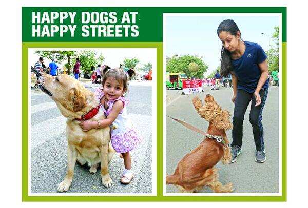 Not just humans, but their canine friends also had fun at Happy Streets (BCCL/Ajay Kumar Gautam)
