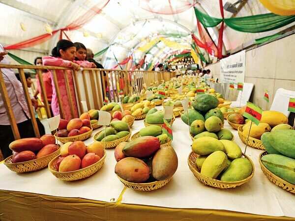 The mangoes named after UP CM Yogi Adityanath at the Mango Festival