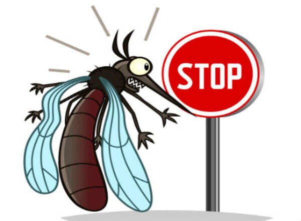 mosquito shutterstock_317816993