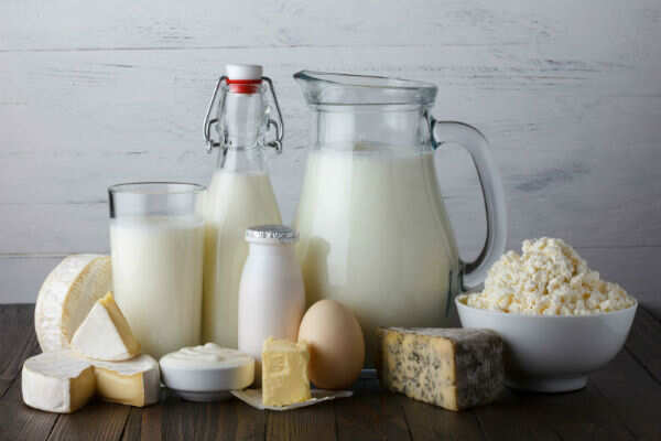 dairy products