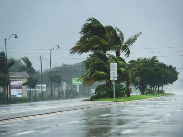 Florida shelter new 2