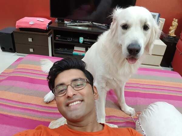 ankush web