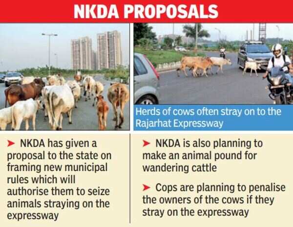 NKDA proposals