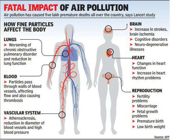 Avoid morning walks in Delhi to save your lungs, say doctors | Delhi ...