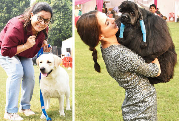 THAT’S CRAZY FOR YOU: Enakshi Chandel with her Lab (R) Kareena with Liam, an American Cocker Spaniel (BCCL/ Farhan Ahmad Siddiqui)