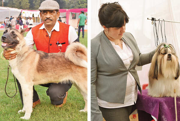 Krishna Kundoo with Saira, an Akita (R) Olga with Nikaas, a Shih Tzu  (BCCL/ Farhan Ahmad Siddiqui)