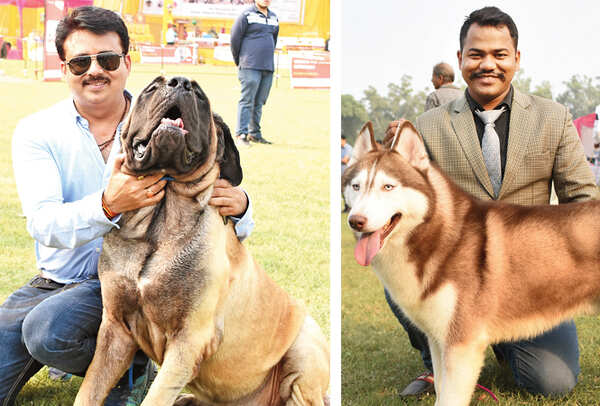 Siddhartha Sharma with his English Mastiff, Scar (R) Vikram Singh with his pet Madras (BCCL/ Farhan Ahmad Siddiqui)