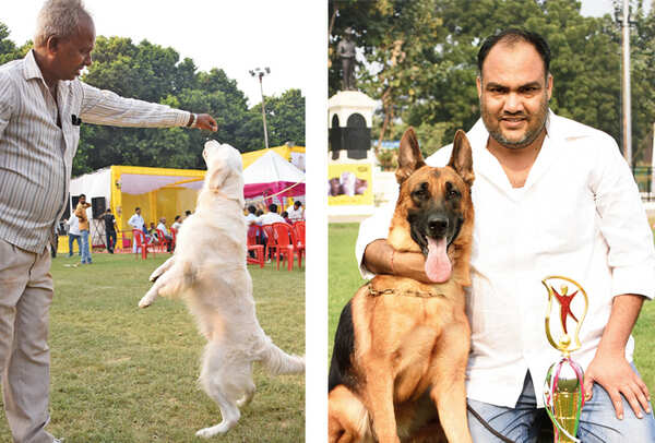 Playtime for Suzie, a Golden Retriever (R) Brandy, a German Shepherd, poses proudly with her trophy and her owner Amit Sharma (BCCL/ Farhan Ahmad Siddiqui)