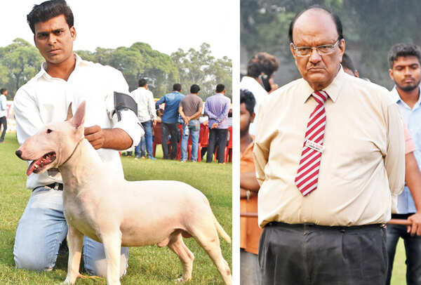Asad Ahmad with Bull Terrier – Heckter (R) KK Trivedi (BCCL/ Farhan Ahmad Siddiqui)