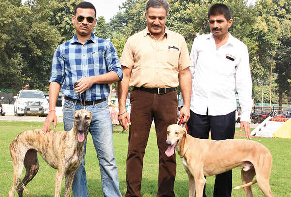 Dileep, Anurag, Johny with their Rampur Hounds – Stella and Hero (BCCL/ Farhan Ahmad Siddiqui)