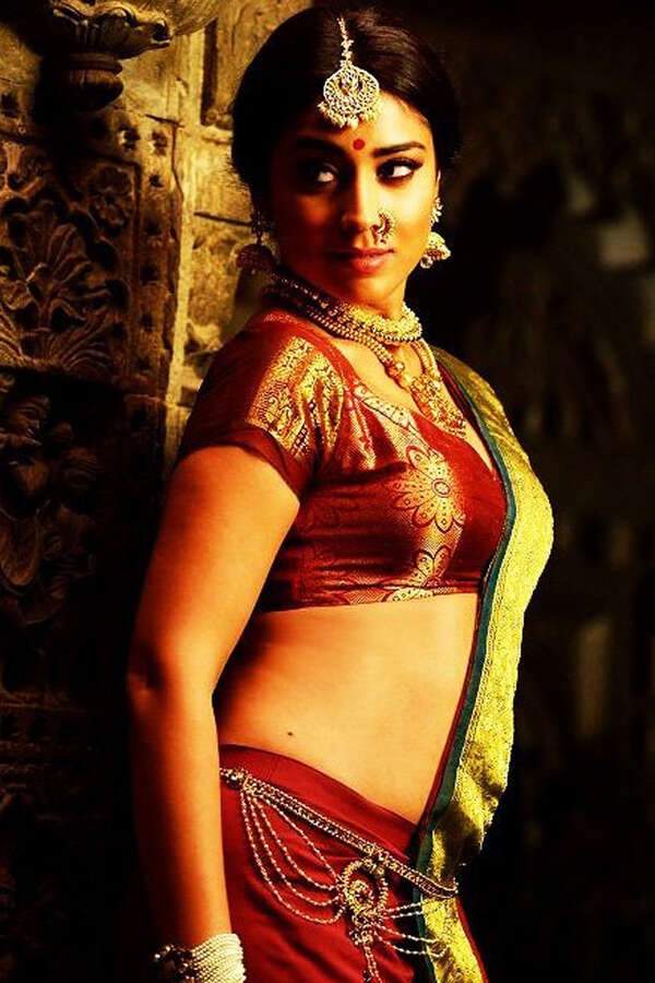 South Actress Photo in Hot Dress: Shriya Saran in eithnic wear