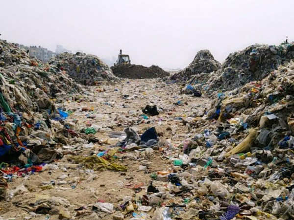 Versova Beach: Mumbai mayor assures action to aid Versova beach clean ...