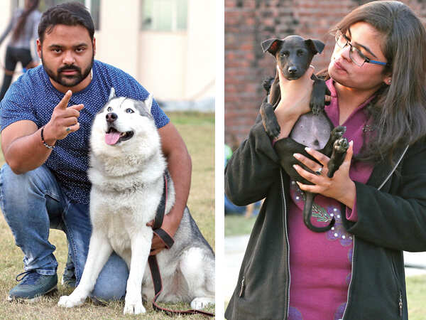 Vaibhav Srivastava tried hard to make his dog Tiago, a Siberian Husky to pose for our shutterbug (R) Sherril (BCCL/ Aditya Yadav)
