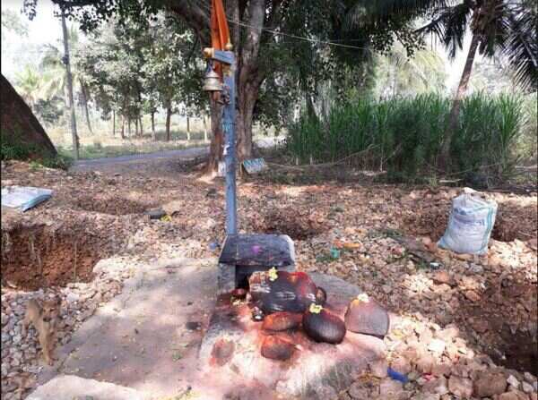 Lord Kaadu Basappa: No priest, no puja, only stones are offered to Lord ...