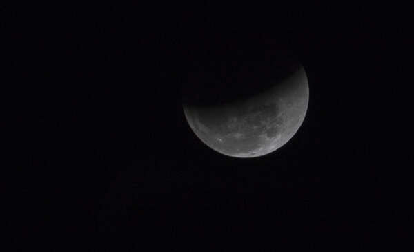 Bluemoon sighting (2)