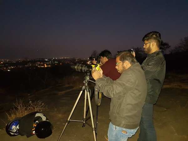 Bluemoon sighting (4)