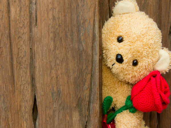 Teddy Day 2018