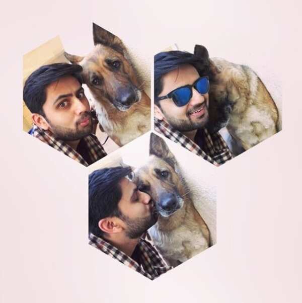 shashank 3