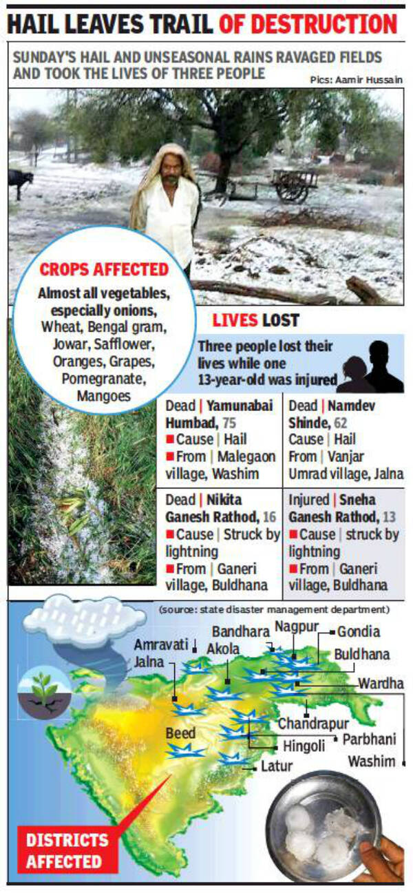 Unseasonal Rains: Maharashtra: Hail, rain damage crops in nearly 400 ...