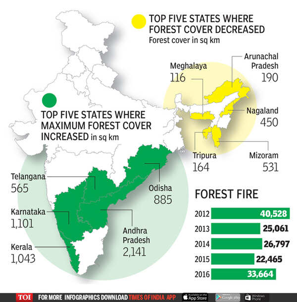 Infographic India adds to its green cover, but concerns remain India