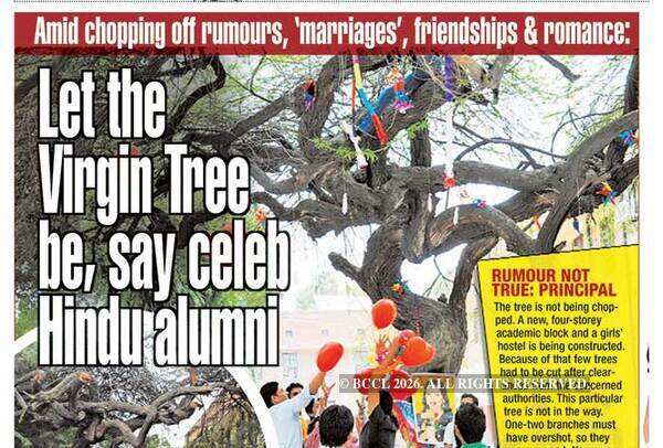 Hindu College: Why Hindu College's Virgin Tree is one of Delhi's most ...