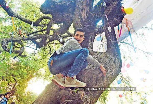Hindu College: Why Hindu College's Virgin Tree is one of Delhi's most ...
