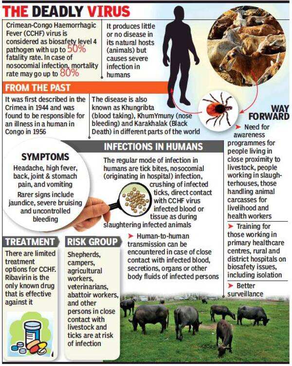 Congo fever virus widely prevalent in the country's livestock, finds NIV | Pune News - Times of India Congo fever virus widely prevalent in the country's livestock, finds NIV | Pune News - Times of India