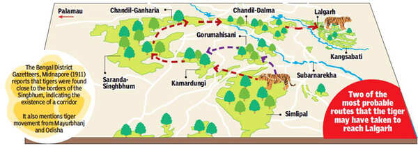 image (8)