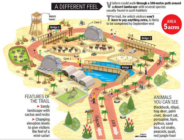 In the heart of Delhi’s concrete jungle, enjoy a desert safari | Delhi ...