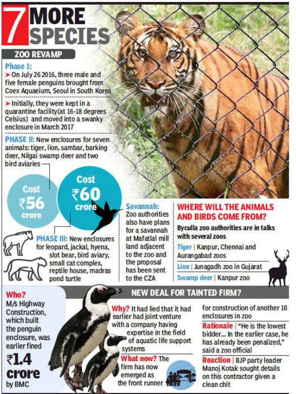 Junagadh Zoo may acquire lion from Junagadh, tiger from Kanpur