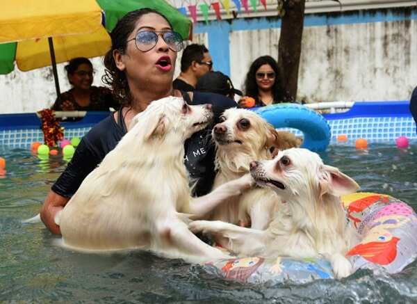 Pamita with TEDDY,PEGGY,FREEDY