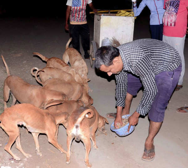 Gujarat News: In this Gujarat village, canines are crorepatis ...