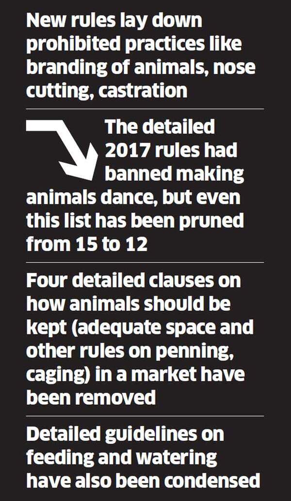Graph-animal1