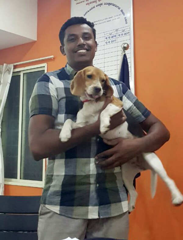 puppy