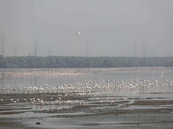 Sewri