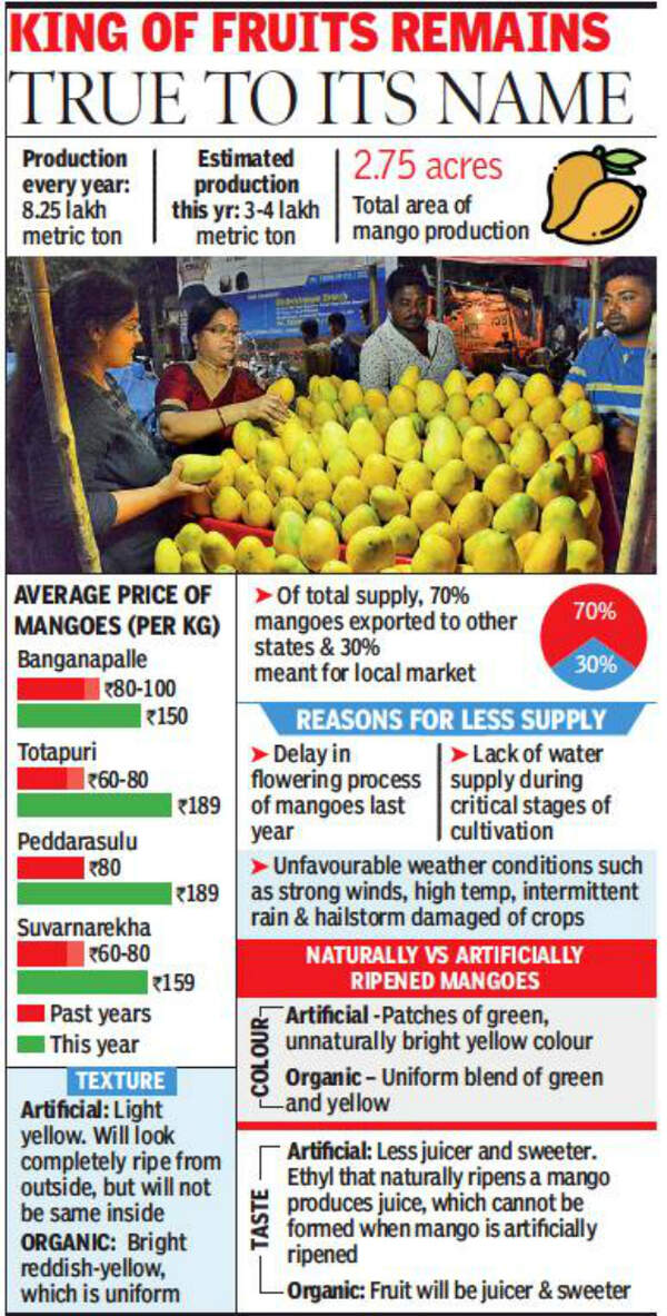 Hyderabad to have less than 20 of its mango quota this year Hyderabad News Times of India