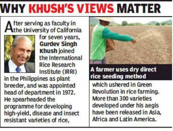Save Water: 'Go for direct seeded rice, save water