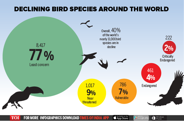 Infographic: One In 8 Bird Species Under Threat Of Extinction - Times ...