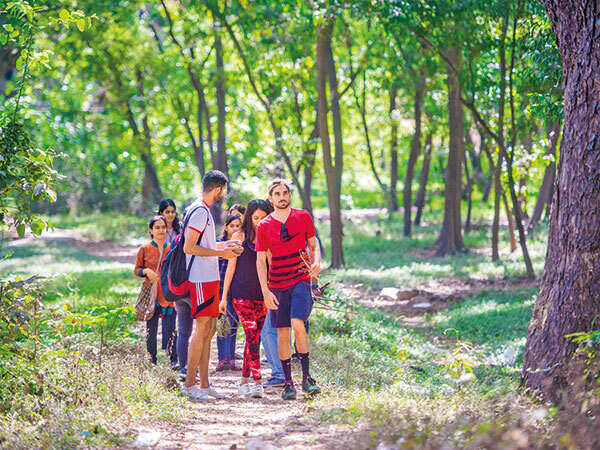 green-aarey