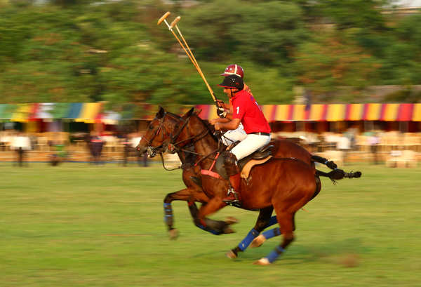 Vegan Horse Riding: Netizens React as New 'Equestrian Sport' Goes