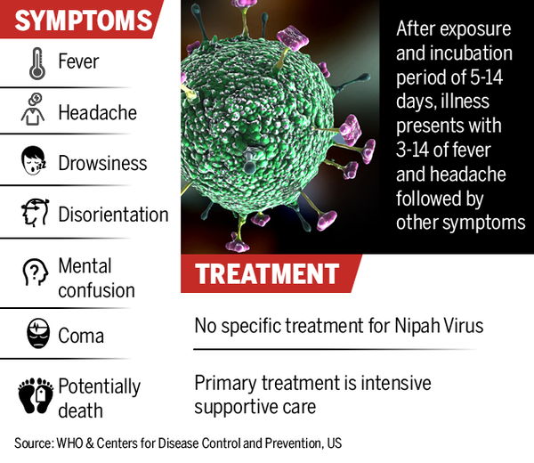 Infographic: Nipah Virus Symptoms: All You Need To Know | India News ...